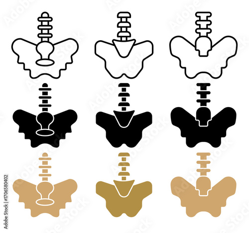 Pelvic area icon glyph and line style pack