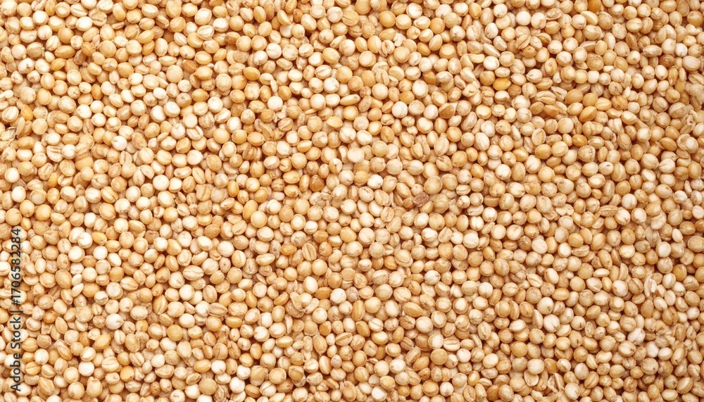 Fototapeta premium Beige Quinoa Seeds Texture Background