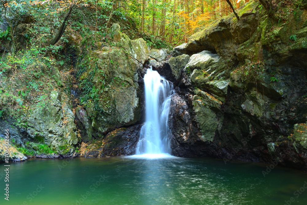 Fototapeta premium 仙厳の滝 静岡県浜松市