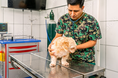 Foto Veterinarian examining small dog with stethoscope in clinic