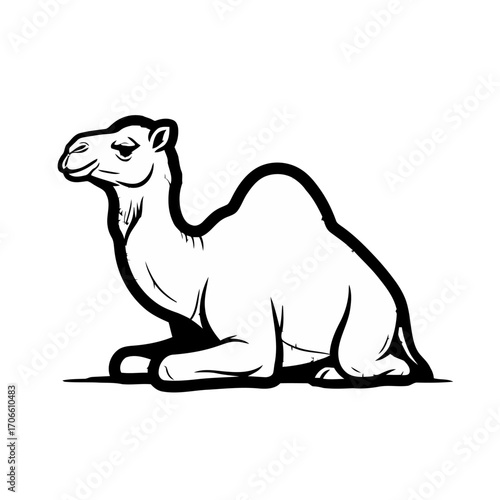 Line a camel sitting down