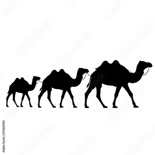 Silhouette a camel caravan walking