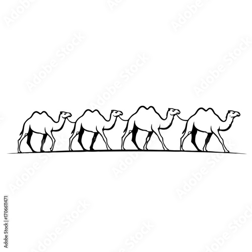 Caravan camels walking in a line