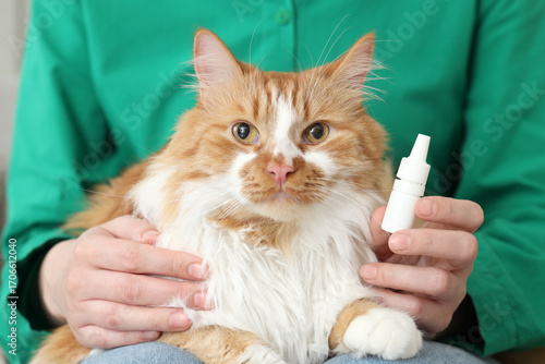 Young woman with cat and anti-parasitic spot-on applicator at home, closeup