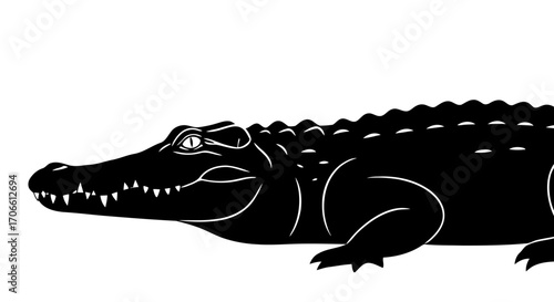 Black alligator silhouette