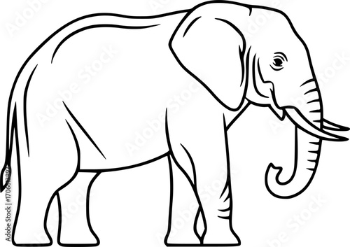 elephant line art silhouette vector illustration
