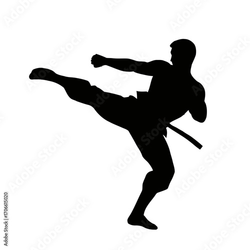 Silhouette a martial artist performing a flying kick