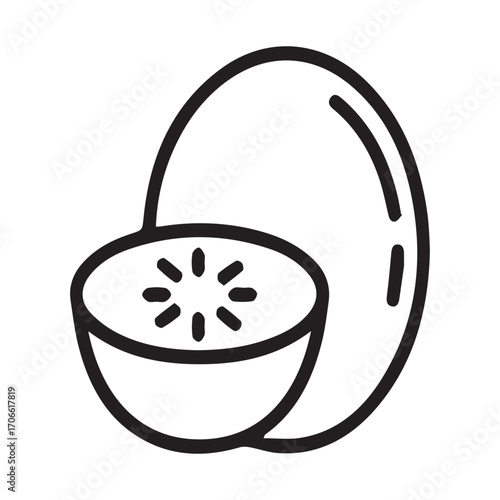 Kiwi Fruit Outline Illustration