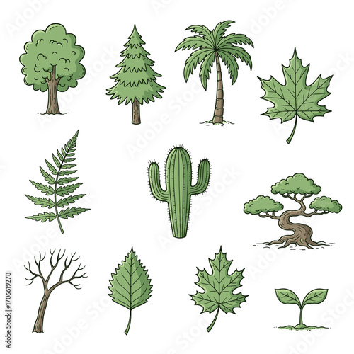 Set of  tree and leaf icons in hand drawn green doodle style. Vector illustration with oak, pine, palm, maple leaf, fern, cactus, bonsai, branch, autumn leaf