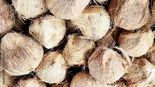 When the coconut is peeled, the husk looks like it is starting to dry out.