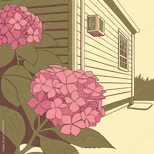 Pink hydrangeas and air conditioner unit on shed flowers