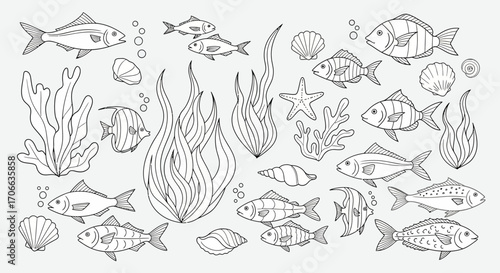 Vector Illustration of Fish Algae and Seashells in Hand Drawn Style