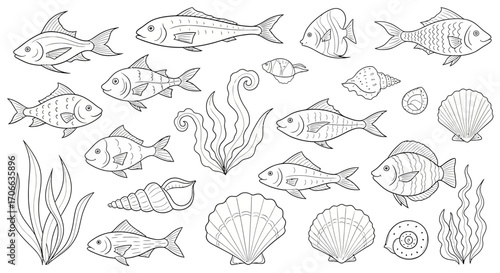 Seamless Vector Pattern with Various Fish Shells and Seaweed in Outline Style