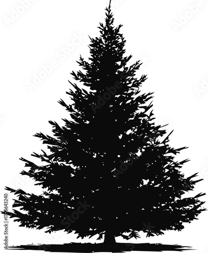 Pine tree silhouette sketch, hand drawn style, isolated on white background — stock vector