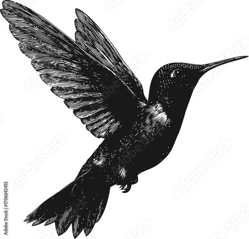 Hummingbird sketch hand drawn style detailed flying bird illustration — stock vector