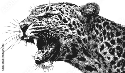 Leopard sketch hand drawn roaring head detailed animal portrait — stock vector