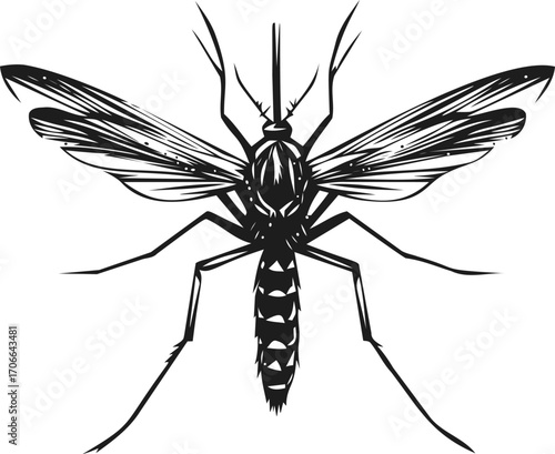 Mosquito sketch hand drawn detailed insect anatomy black and white — stock vector