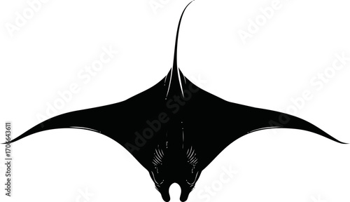 Manta ray sketch hand drawn silhouette with long tail on white background — stock vector