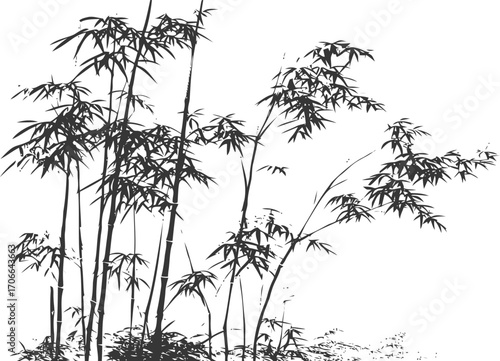 Bamboo silhouette sketch, hand drawn vector with leafy stems and natural foliage — stock vector