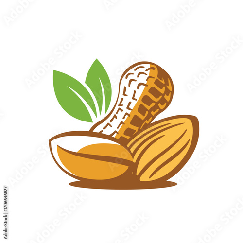 nuts vector abstract logo modern style