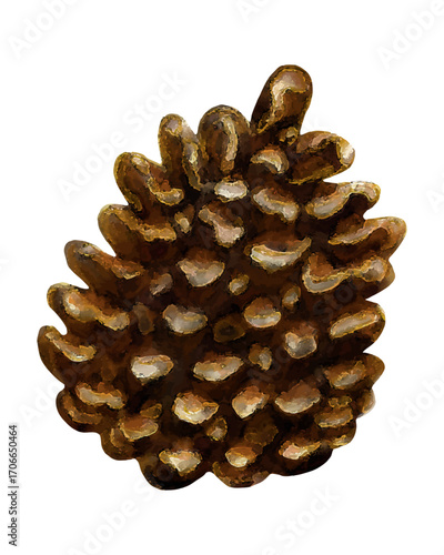 Realistic pine cone drawing with textured details. Natural pine cone close up vector design. Autumn forest pine cone isolated clipart. Hand drawn pine cone botanical illustration
