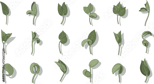 Diverse Collection of Sprouting Plants in Various Growth Stages