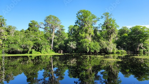 Hillsborough River and Swamp