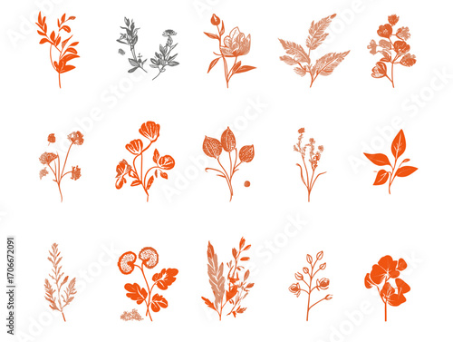 Floral illustrations in orange and grey on white background  