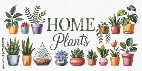 A delightful arrangement featuring a diverse collection of home plants in colorful pots, adding a touch of nature and elegance to interior spaces with their unique charm.
