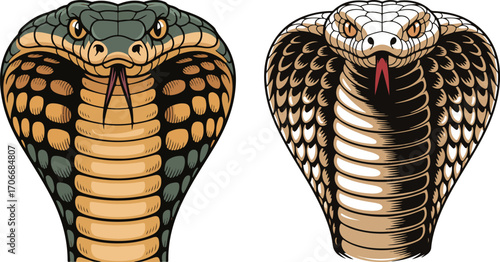 King Cobra Head Close-Up Realistic Vector