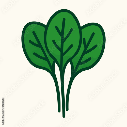 A sleek vector design of a bunch of spinach leaves, solid colors, white background