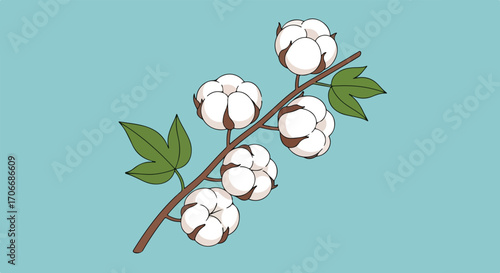 Botanical illustration of a cotton plant branch against a serene sky blue backdrop displaying its fluffy white bolls and verdant leaves