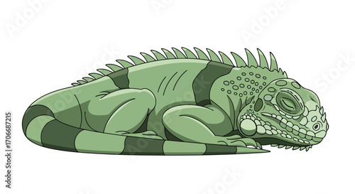 Restful reptilian retreat, a serene illustration showcasing an iguana in tranquil slumber against an unblemished backdrop