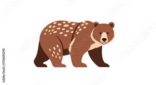 Stylized brown bear illustration with white dots on the back for wildlife concepts and animal educational materials illustration