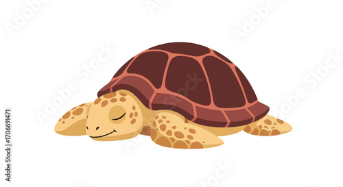 Relaxing reptile: Tranquil turtle taking a peaceful nap in a calming cartoon style illustration