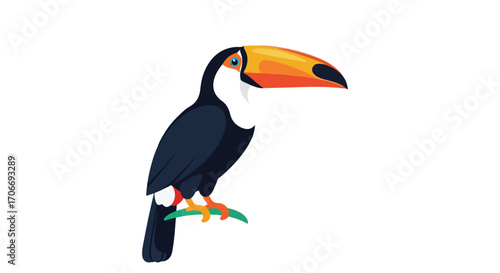 Vibrant toucan illustration showcasing tropical wildlife and avian elegance with simple colors and a perch on a branch delivering captivating charm