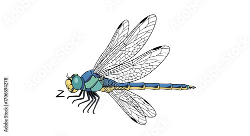 Cartoon Illustration of a Sleeping Dragonfly with Detailed Wings and Body Coloring isolated over a White Background for Children's Books and Education