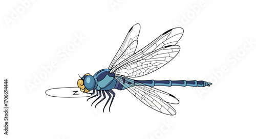 Cute Sleeping Cartoon Dragonfly Illustration on White Background Featuring the Insect with Transparent Wings Illustration Drawing in Detail