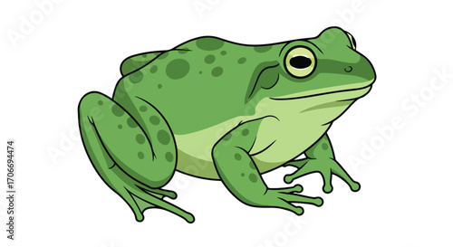 Cartoon Illustration of a Green Frog with Detailed Features and Realistic Proportions on a White Background ready for use in many creative designs