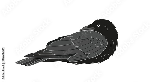 Stylized monochrome illustration of a resting raven with detailed feathers and minimalistic features offering a unique avian artistic representation