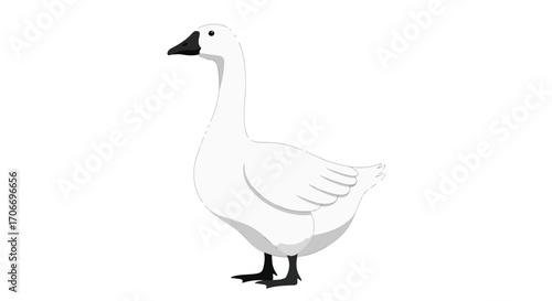 Graceful White Goose Illustration Standing Calmly on a Plain Backdrop Simplicity and Serenity Expressed Through a Minimalist Animal Portrayal