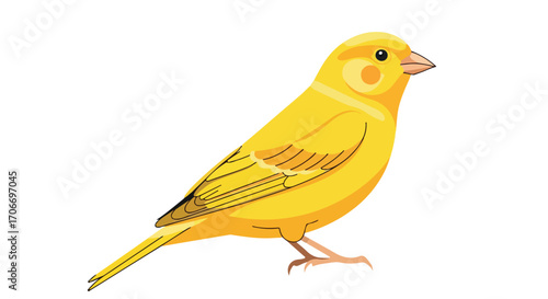 Vibrant canary illustration showcasing detailed feathering and clean lines on a white background portraying natural beauty and simplicity