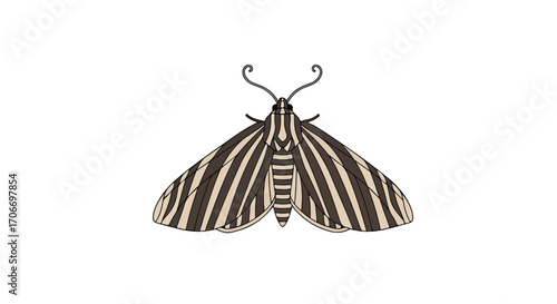Striped wings nocturnal moth illustration isolated on white clean backdrop for graphic design and artistic projects
