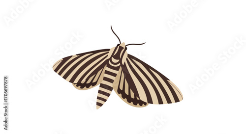 Elegant striped moth illustration with delicate antennae, presenting a stylized insect with a beige and brown pattern, isolated on white background