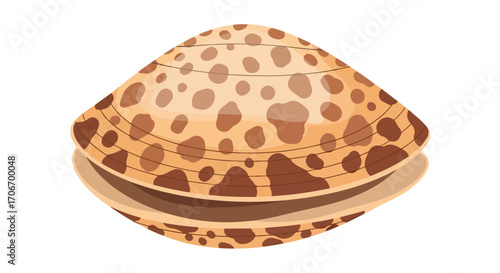 Illustration of a speckled clam shell with a smooth, rounded shape and unique patterns creating a natural, aquatic aesthetic