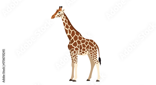 A cartoon giraffe with its long neck and brown and tan spots, presented on a white background in a minimalist illustration style
