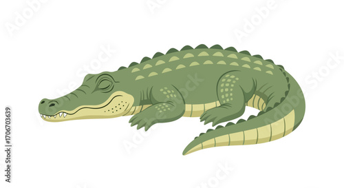 Cartoon depiction of a slumbering crocodile with textured hide and closed eyes resting isolated against a clean white backdrop presenting reptile