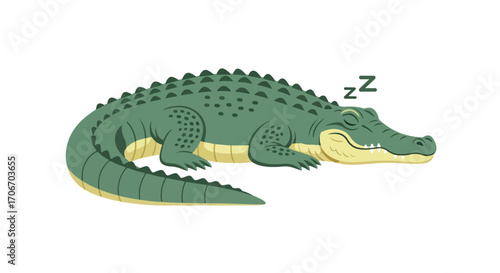 Cartoon Alligator Taking a Nap with Z's Depicting Sleep, Isolated on White for Children's Illustration Style Depictions, Very Cute