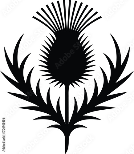 Sharp leaf thistle emblem silhouette design