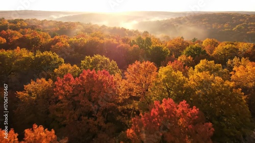 Aerial flyover of a dense autumn forest shrouded in light morning mist with dappled sunlight dappled sunlight, foggy, warm colors
